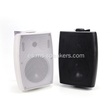 6.5 pulgadas 30-40W Hifi Wall Speaker
